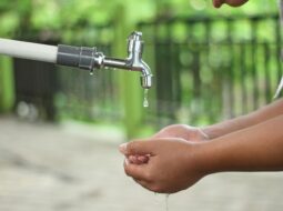 Importance of clean water